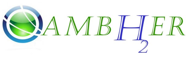 Logo du projet européen AMBHER
